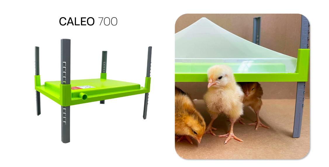 Snímka obrazovky 2026-01-29 o 17.34.01